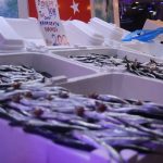 Sakarya’da tezgahların bir numarası yine hamsi oldu