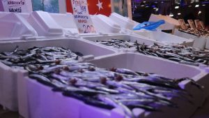 Sakarya’da tezgahların bir numarası yine hamsi oldu