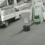 Trabzon’da yaşananlar ders olmadı: Sokaklar başıboş köpeklerle dolu