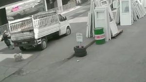 Trabzon’da yaşananlar ders olmadı: Sokaklar başıboş köpeklerle dolu