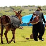 Türkiye’nin nüfusu artarken kırsalda yaşayanların nüfusu azalıyor