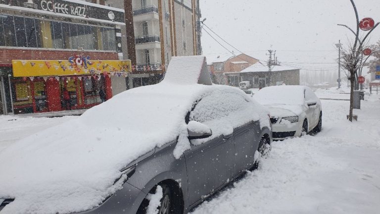 Van’da kar yağışı etkili oluyor