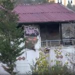 Yalova’da polis şehit eden 5 DEAŞ’li teröriste ilişkin yeni detaylar