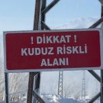 Yüksekova’da kuduz alarmı