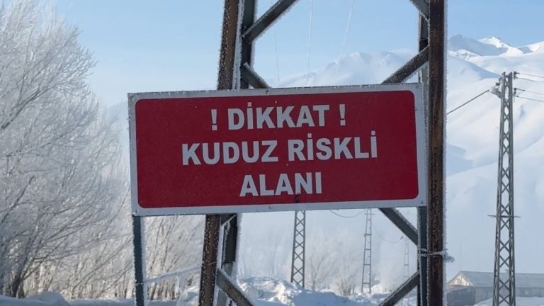 Yüksekova’da kuduz alarmı