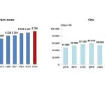 Yurt Dışında Kontrol Edilen Girişim İstatistikleri, 2024