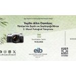 Zeytinin Hikâyesi Fotoğrafla Anlatılıyor: Yeşilin Altın Damlası 2 Başladı