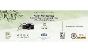 Zeytinin Hikâyesi Fotoğrafla Anlatılıyor: Yeşilin Altın Damlası 2 Başladı