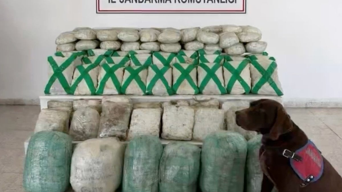 2 ilde narkotik operasyonları: 320 kilo uyuşturucu ele geçirildi