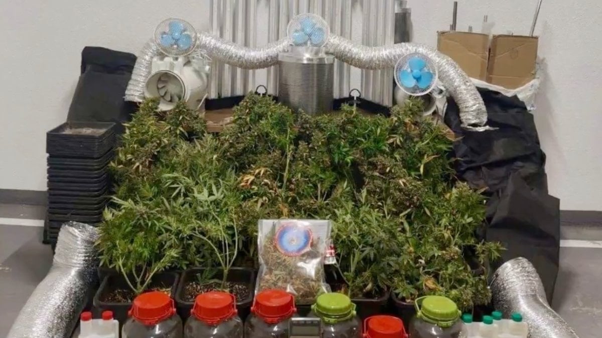 25 ilde narkotik operasyonu: 99 şüpheli tutuklandı