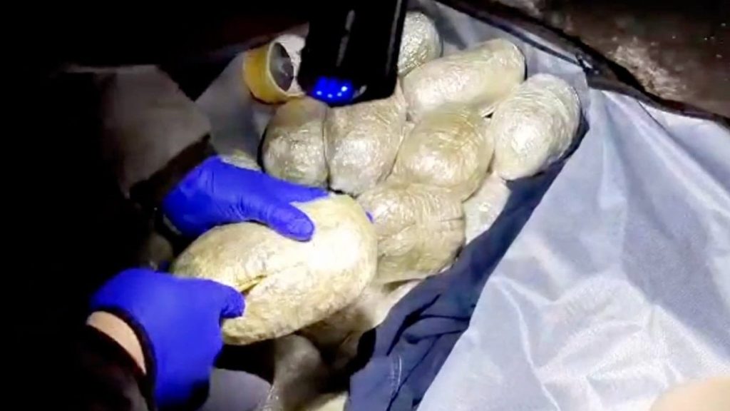 73 ilde narkotik operasyonu: 1,1 ton uyuşturucu madde ele geçirildi