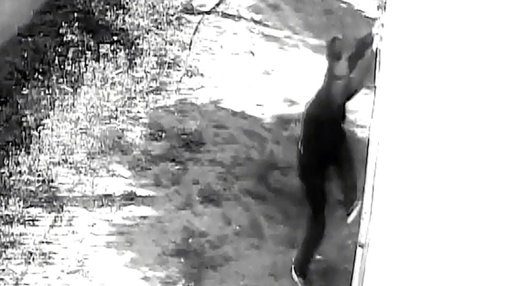 Adana’da balkon hırsızlığı kamerada: Dizüstü bilgisayarı alıp kaçtı