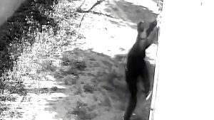 Adana’da balkondan girip, hırsızlık yaptı