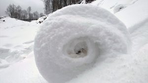 Amasya’da nadir rastlanan doğa olayı: Kar ruloları
