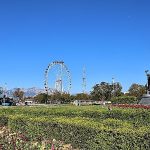 Antalya 4 milyon yazlık çiçekle bahara hazırlanıyor