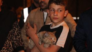 Antalya’da kedi ‘Duman’ evde çıkan yangında kurtarıldı