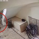 Antalya’da otizmli Mehmet’in merdivenlerden düştüğü anlara ait görüntüler çıktı