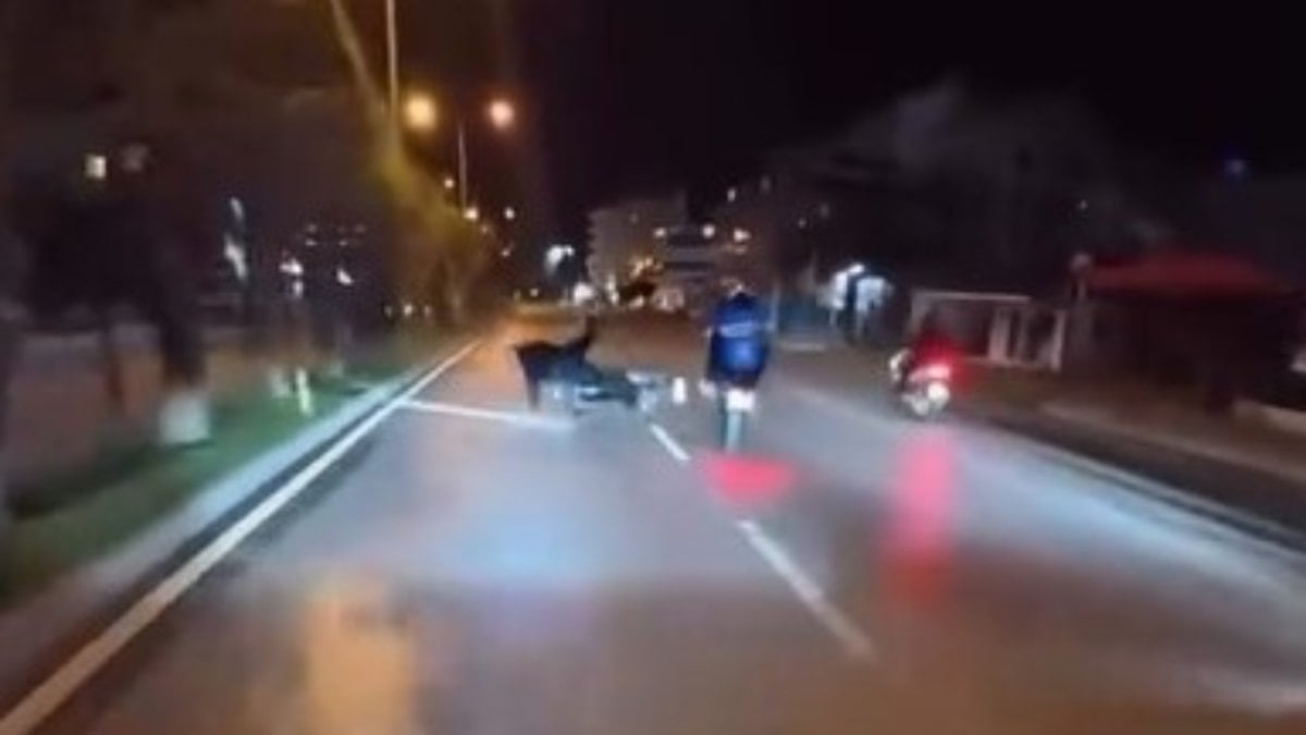 Antalya’da tek teker şovu kazayla bitti