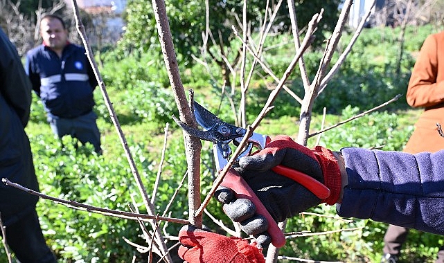 ATASEM’de uygulamalı ağaç budama eğitimi