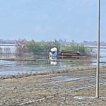 Aydın’da tır taşkın sularından mahsur kaldı: Sürücüyü itfaiye ekipleri kurtardı