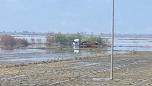 Aydın’da tır taşkın sularından mahsur kaldı: Sürücüyü itfaiye ekipleri kurtardı