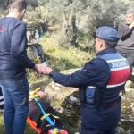 Aytın’da zeytinlik bakmaya gittiği arazide düşerek mahsur kaldı