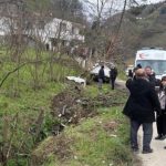 Başıboş sokak köpeği kazaya neden oldu: 1 ölü