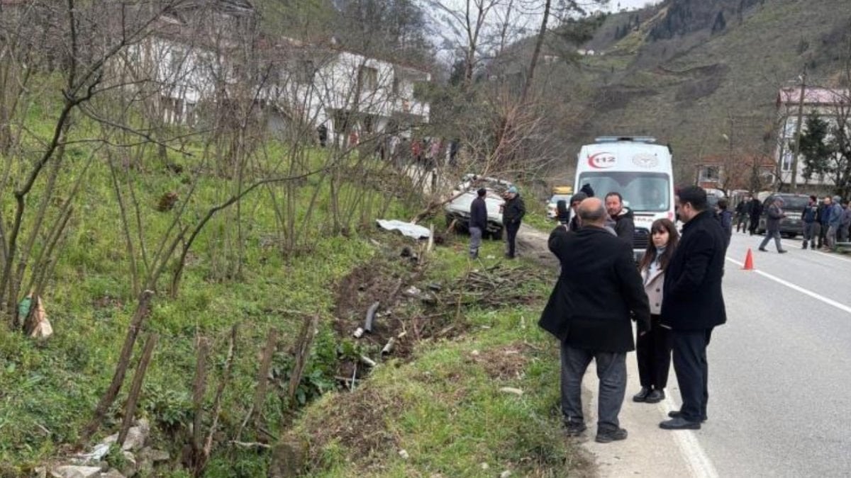 Başıboş sokak köpeği kazaya neden oldu: 1 ölü