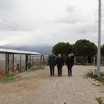 Başkan Ertaş’tan sokak hayvanlarına ilişkin açıklama