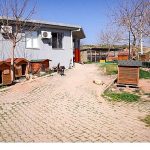 Başkan Yetişkin: “Artık çöpe giden yemekler can dostlarımız için mamaya dönüşüyor”