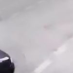 Bursa’da alkollü direksiyon başına geçti: 72 yaşındaki kadını hayattan kopardı