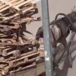 Bursa’da at arabasına üst üste bindirilen paletler tepki çekti