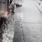 Bursa’da camı açamayan hırsız kapıdaki süs ağacını söküp götürdü