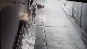 Bursa’da camı açamayan hırsız kapıdaki süs ağacını söküp götürdü