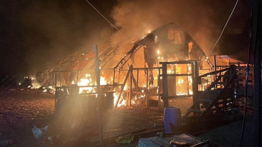 Bursa’da çiftlik yangınında 580 hayvan telef oldu