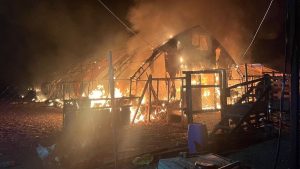 Bursa’da çiftlik yangınında 580 hayvan telef oldu