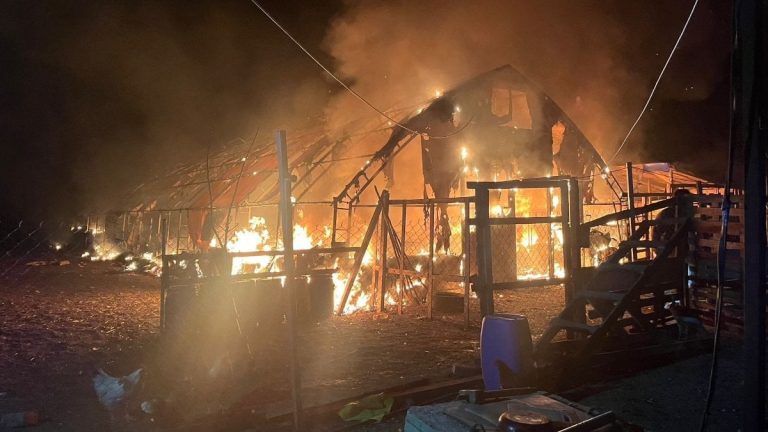 Bursa’da çiftlik yangınında 580 hayvan telef oldu