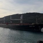 Çanakkale Boğazı’nda makine arızası yaşayan gemi karaya oturdu