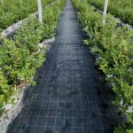 DCT Trading’ten yeni yatırım anlaşması