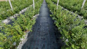 DCT Trading’ten yeni yatırım anlaşması