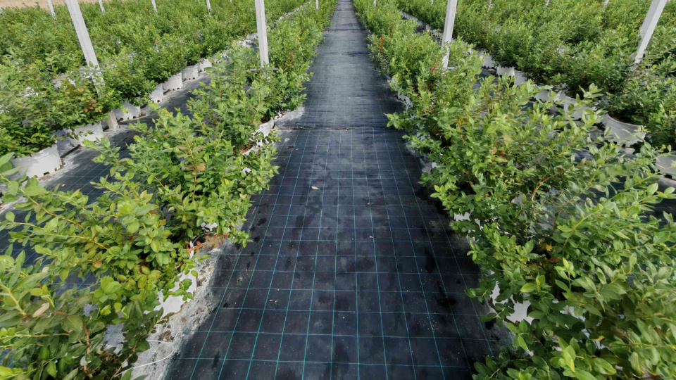 DCT Trading’ten yeni yatırım anlaşması