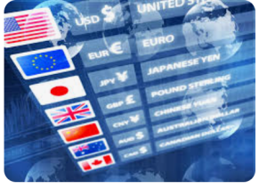 Döviz, altın ve gümüş raporu