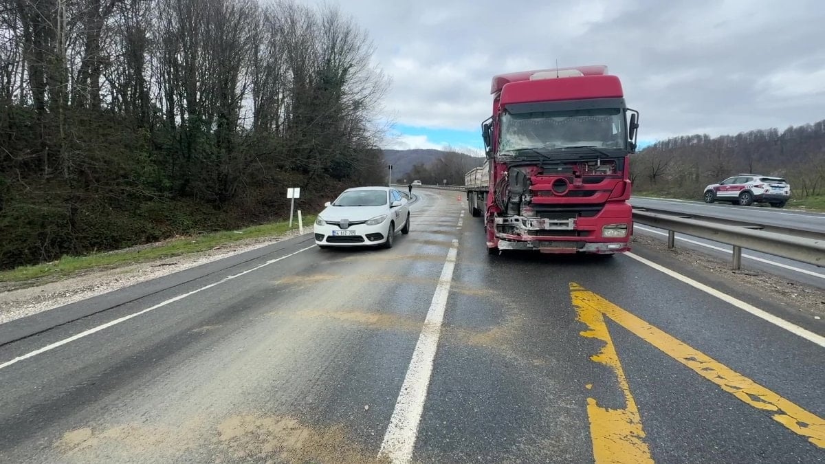 Düzce-Akçakoca yolunda makas atan tır, trafiği durdurdu