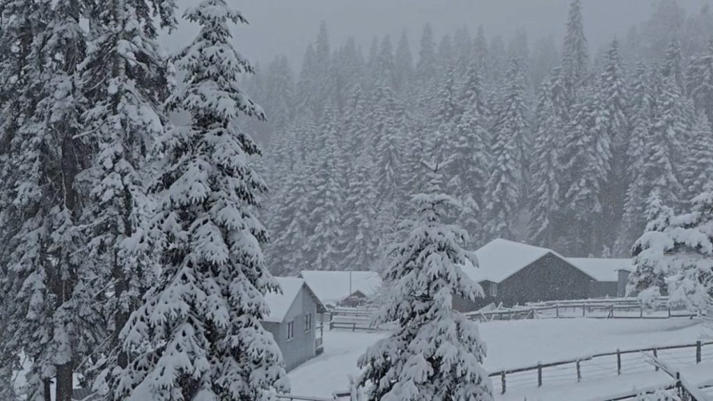 Düzce’nin yüksek kesimlerinde kar kalınlığı 40 santimetreye ulaştı
