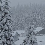 Düzce’nin yüksek kesimlerinde kar kalınlığı 40 santimetreye ulaştı