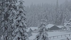 Düzce’nin yüksek kesimlerinde kar kalınlığı 40 santimetreye ulaştı