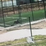 Edirnede çocuk parkında silahlar konuştu