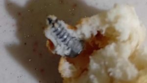 Elazığ’da ekmekten vida çıktı: Vatandaş şaşkına döndü