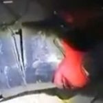 Elazığ’da yolcu otobüsünde saklanan uyuşturucuyu narkotik köpeği buldu