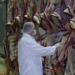 “Et fiyatları manipülasyonu” operasyonunda 30 gözaltı